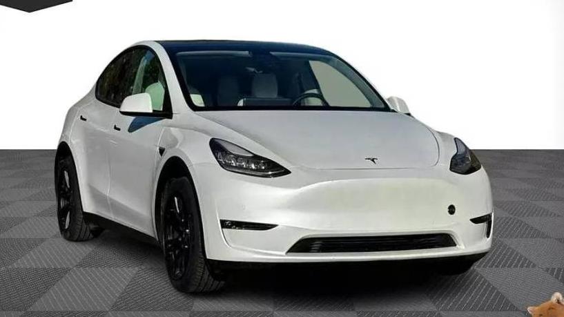 TESLA MODEL Y 2021 5YJYGAED6MF142764 image